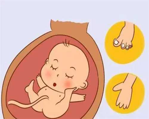 爱子之家助孕一个月胎儿图_上海诚信爱子之家助孕公司联系方法