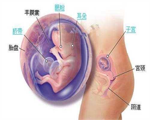 爱子之家助孕爱子之家助孕应该如何保护自己的乳房_武汉协和医院