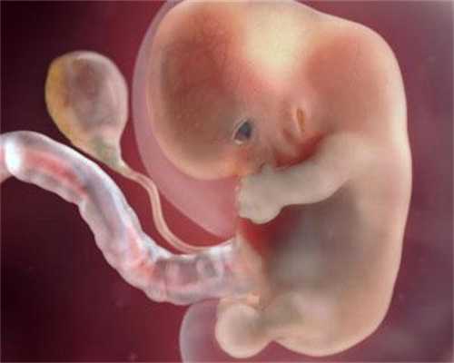孕前保养卵巢防“早衰”_同仁妇科医院不孕不育