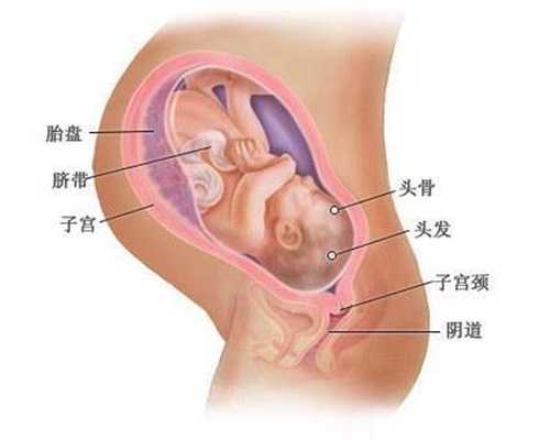 孕前保养卵巢防“早衰”_同仁妇科医院不孕不育