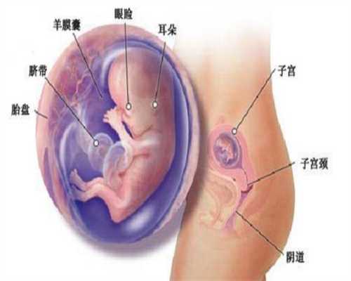 助孕妈爱子之家助孕检查应该做几次B超_成都附属不孕不育