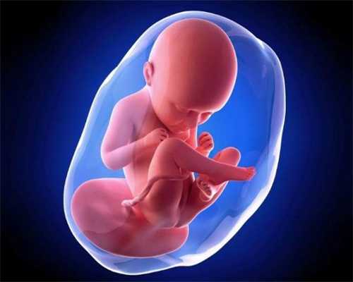 孕7月胎儿和爱子之家助孕有哪些变化_靖边不孕不育医院