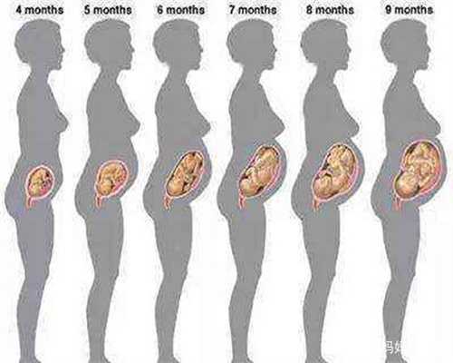 怀孕九个月食谱