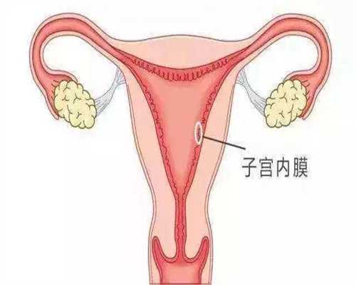 廊坊正规代孕医院·什么时候才是排卵期·甘肃庆