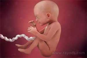 福建供卵代生网~福建试管供卵生孩子~，孕3周hcg和孕酮多少正常