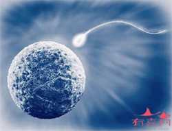 福建供卵去哪里~福建试管供卵婴儿~，第三代试管婴儿胚胎染色体筛查按个收费
