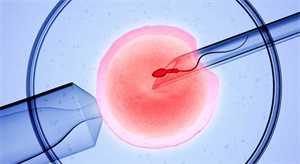 福建供卵推广~福建供卵成功率最高的医院，多胎妊娠之双胎妊娠（一）